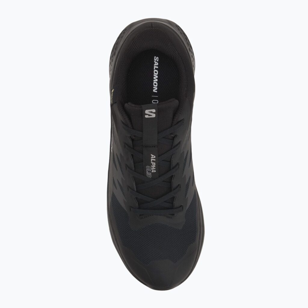 Кроссовки для бега Salomon Alphaglide GTX black/asphalt/black