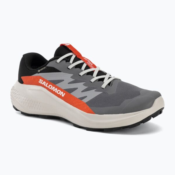 Кроссовки для бега Salomon Alphaglide GTX castlerock/lunar rock