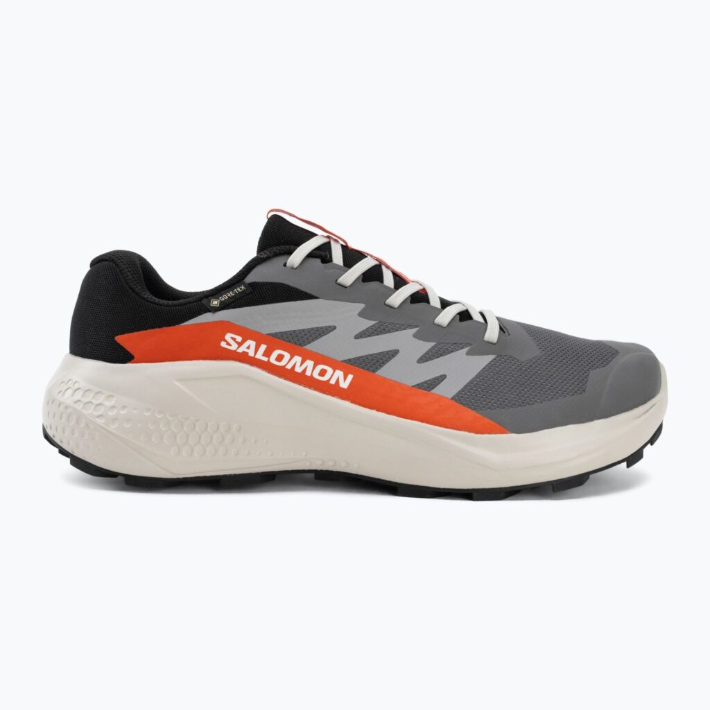 Кроссовки для бега Salomon Alphaglide GTX castlerock/lunar rock