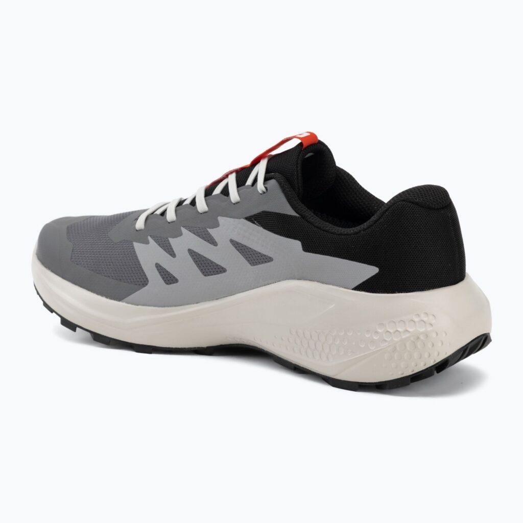 Кроссовки для бега Salomon Alphaglide GTX castlerock/lunar rock