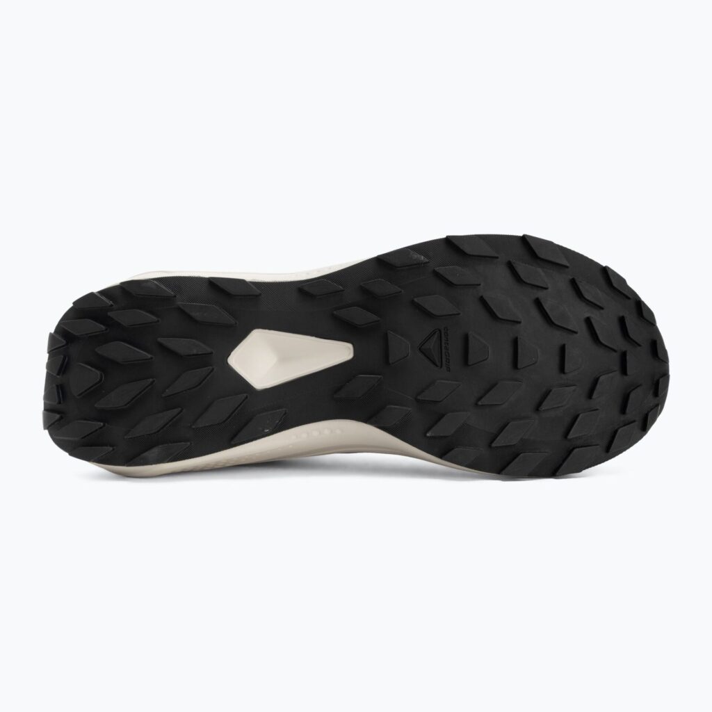 Кроссовки для бега Salomon Alphaglide GTX castlerock/lunar rock