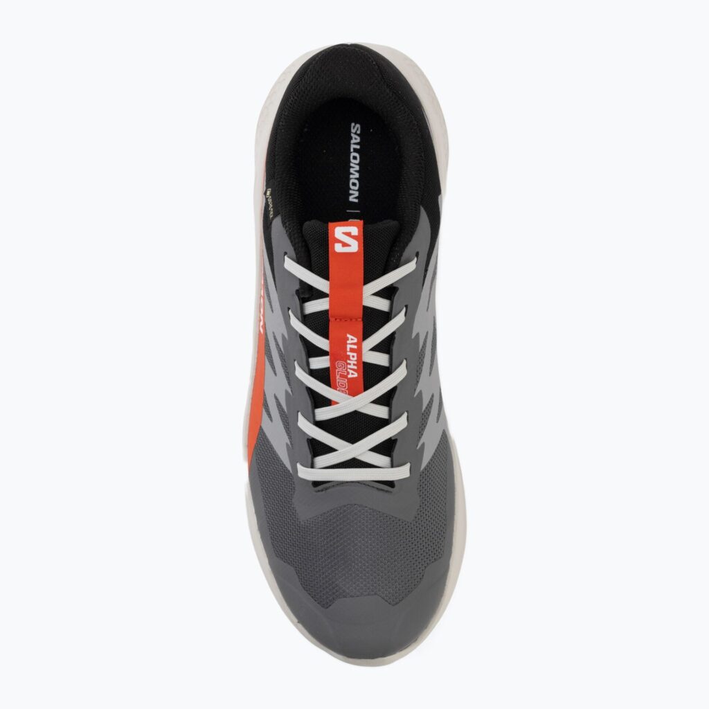 Кроссовки для бега Salomon Alphaglide GTX castlerock/lunar rock