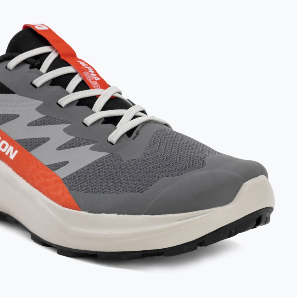 Кроссовки для бега Salomon Alphaglide GTX castlerock/lunar rock