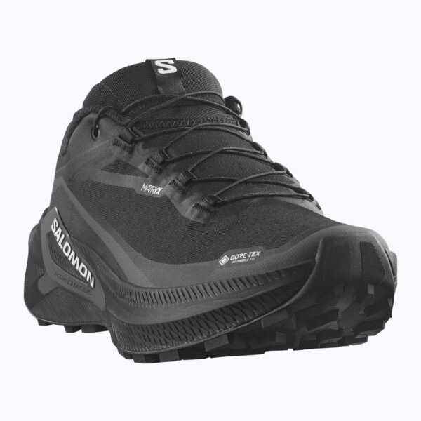 Кроссовки для бега Salomon Genesis 2 GTX black/black