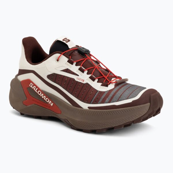 Кроссовки для бега Salomon Genesis 2 vanilla ice/iron
