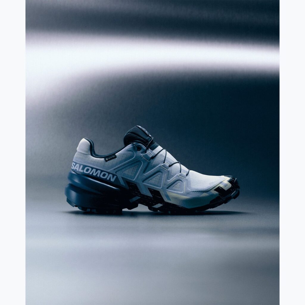Кроссовки для бега Salomon Speedcross 6 GTX Icon brunnera blue/surf the web