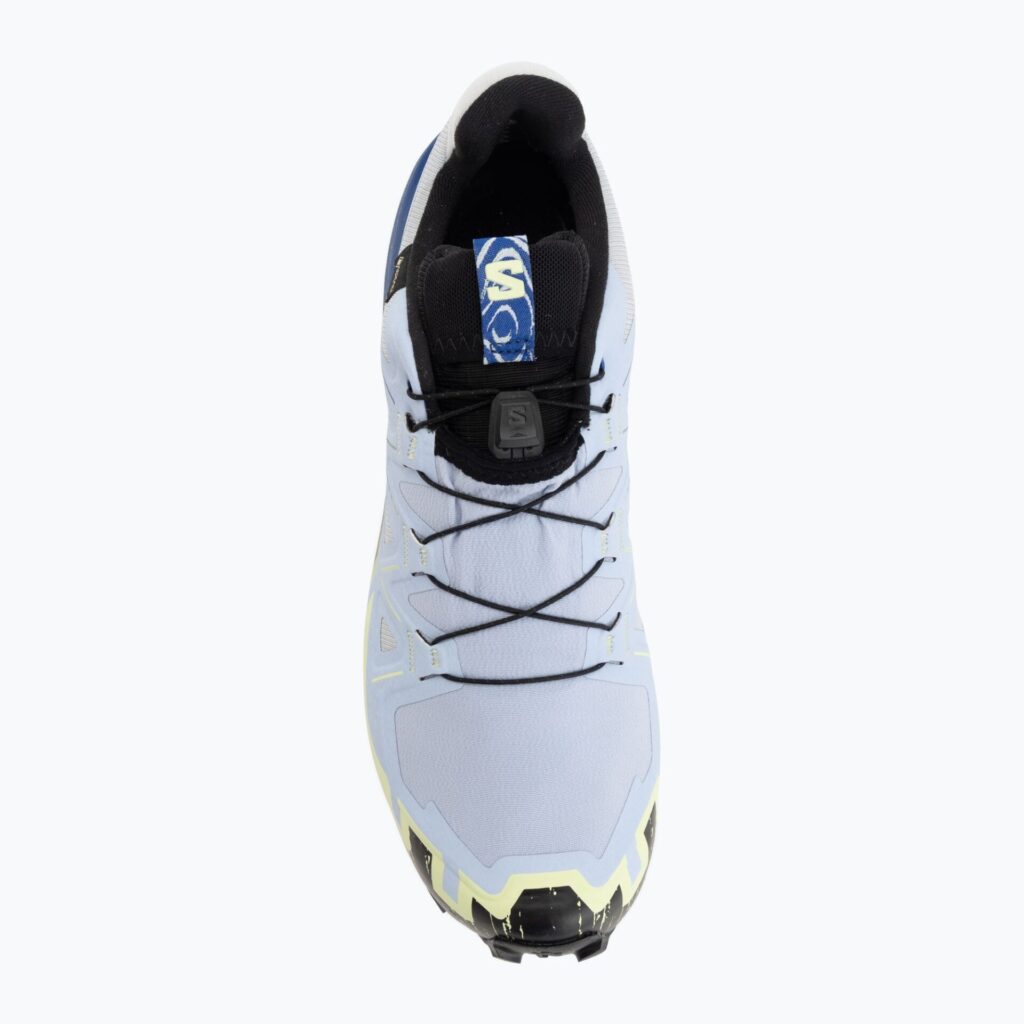 Кроссовки для бега Salomon Speedcross 6 GTX Icon brunnera blue/surf the web