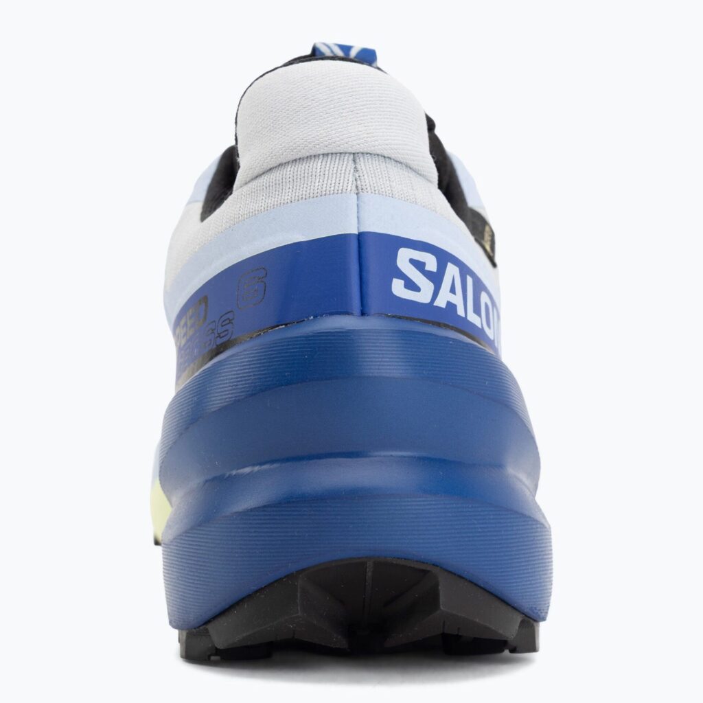Кроссовки для бега Salomon Speedcross 6 GTX Icon brunnera blue/surf the web