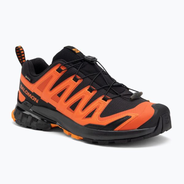Кроссовки для бега Salomon XA PRO 3D V9 GTX chery tomato/black/redora