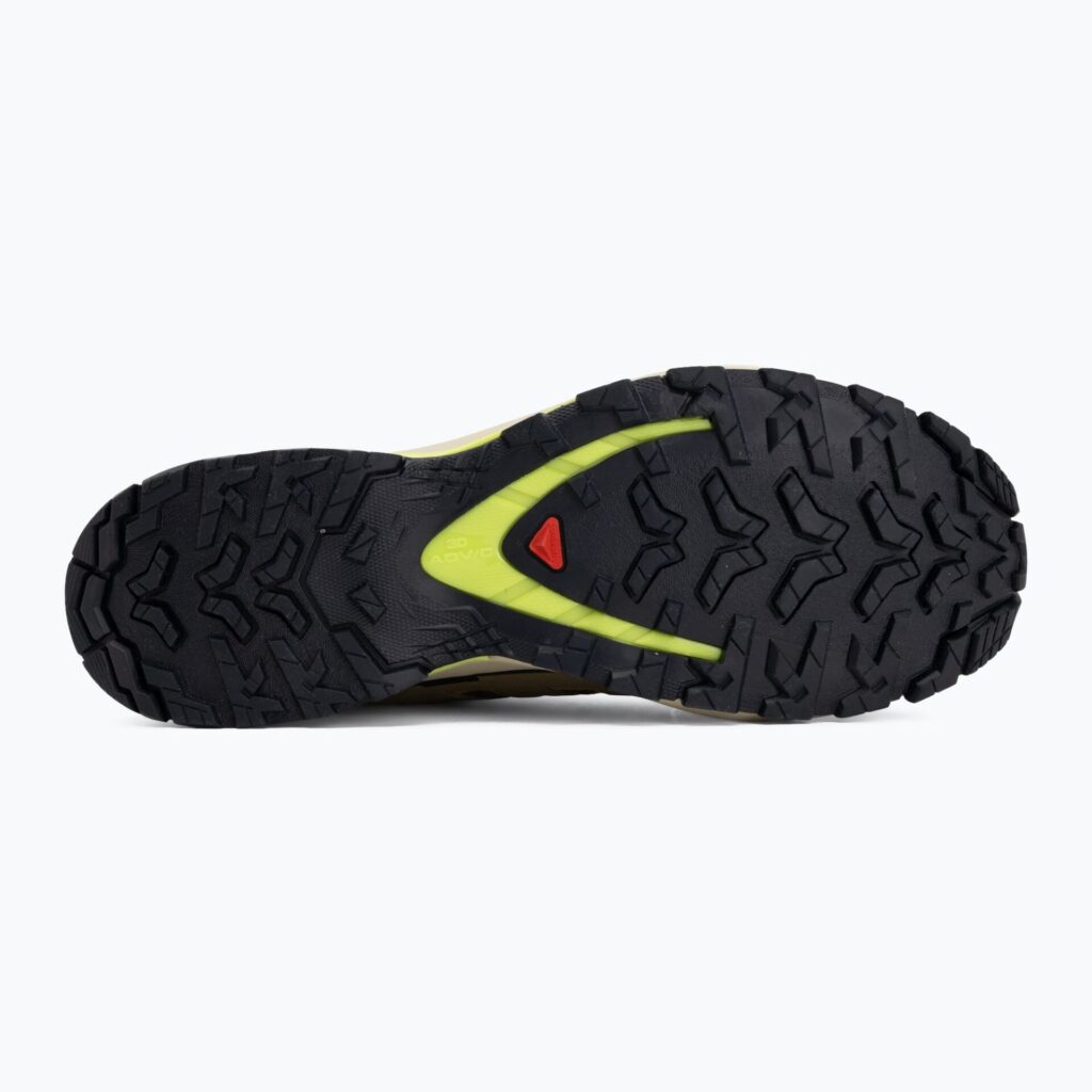 Кроссовки для бега Salomon XA Pro 3D V9 GTX grape leaf/aloe