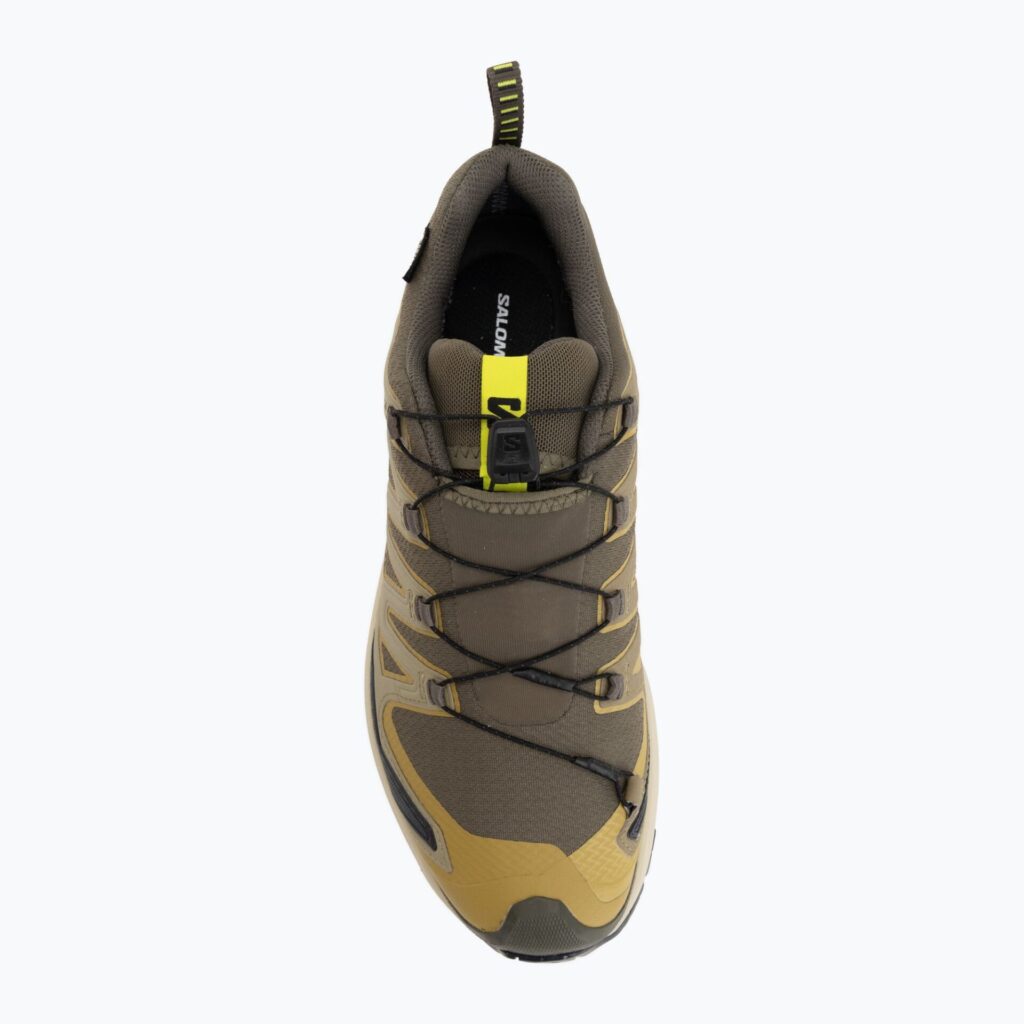 Кроссовки для бега Salomon XA Pro 3D V9 GTX grape leaf/aloe