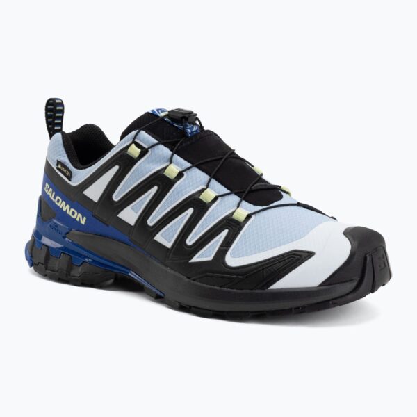 Кроссовки для бега Salomon XA Pro 3D V9 GTX Icon black/brunnera blue