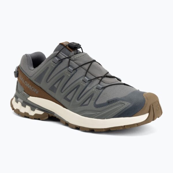 Кроссовки для бега Salomon XA Pro 3D V9 GTX Lifelong sedona sage/coyote brown