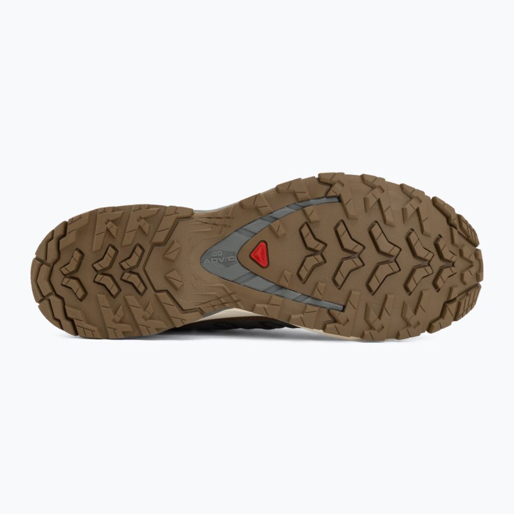 Кроссовки для бега Salomon XA Pro 3D V9 GTX Lifelong sedona sage/coyote brown