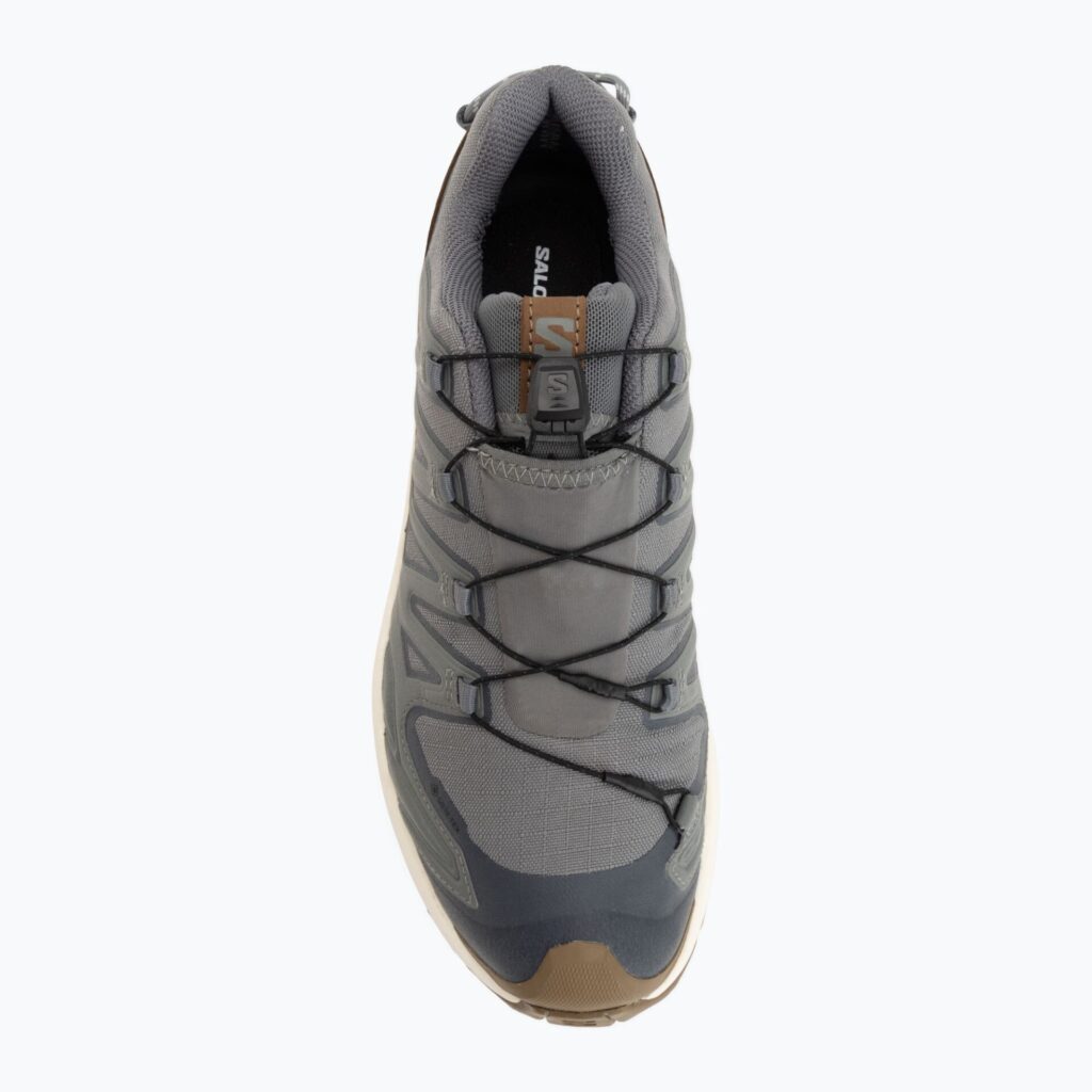 Кроссовки для бега Salomon XA Pro 3D V9 GTX Lifelong sedona sage/coyote brown