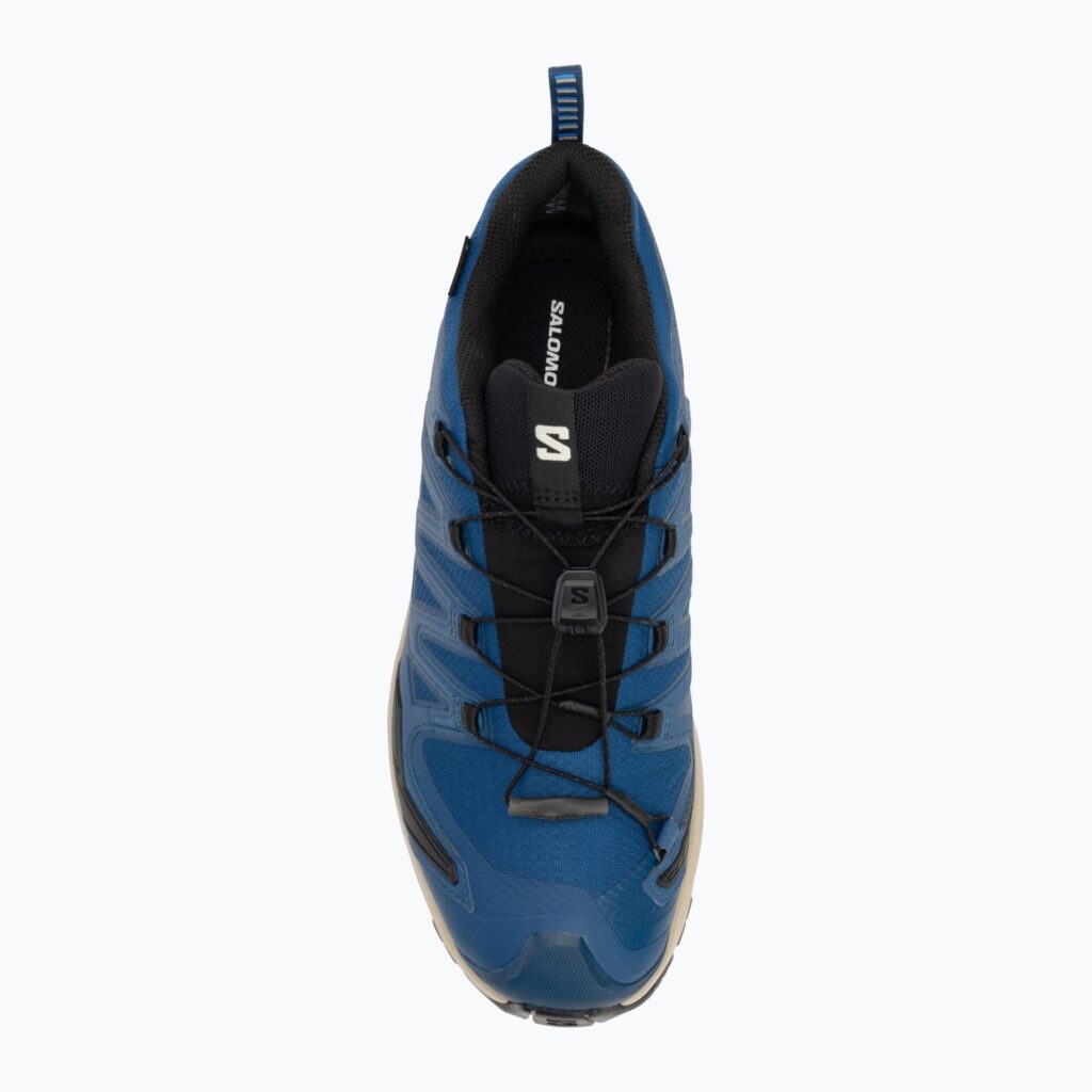 Кроссовки для бега Salomon XA PRO 3D V9 GTX poseidon/white pepper/falcon