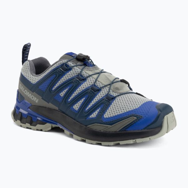 Кроссовки для бега Salomon XA Pro 3D V9 wrought iron/spellbound
