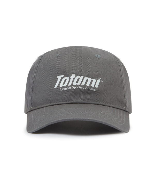 Adversity Baseball Cap - Washed Grey