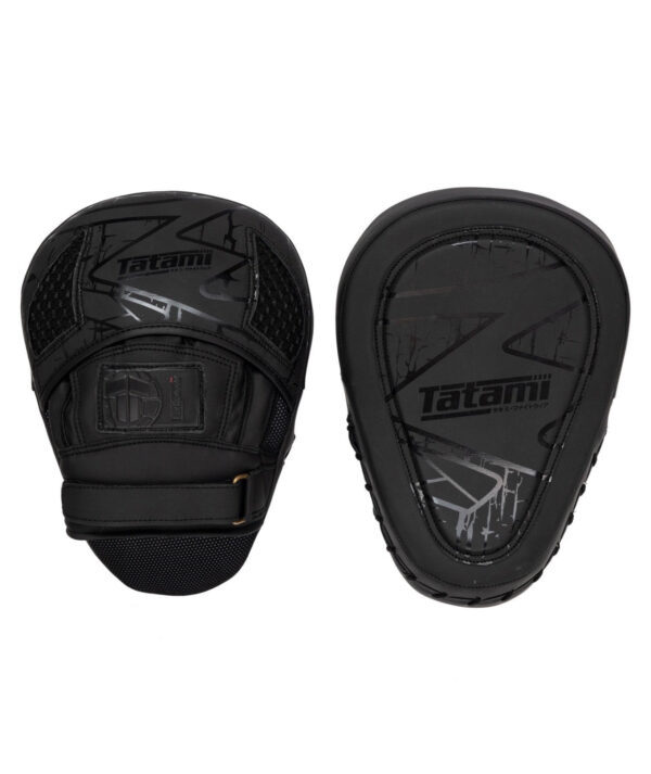 Лапы Obsidian Focus Mitt