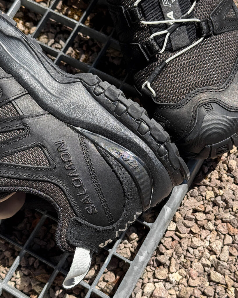 Кроссовки Salomon XA Pro 3D *Alpine Echoes*