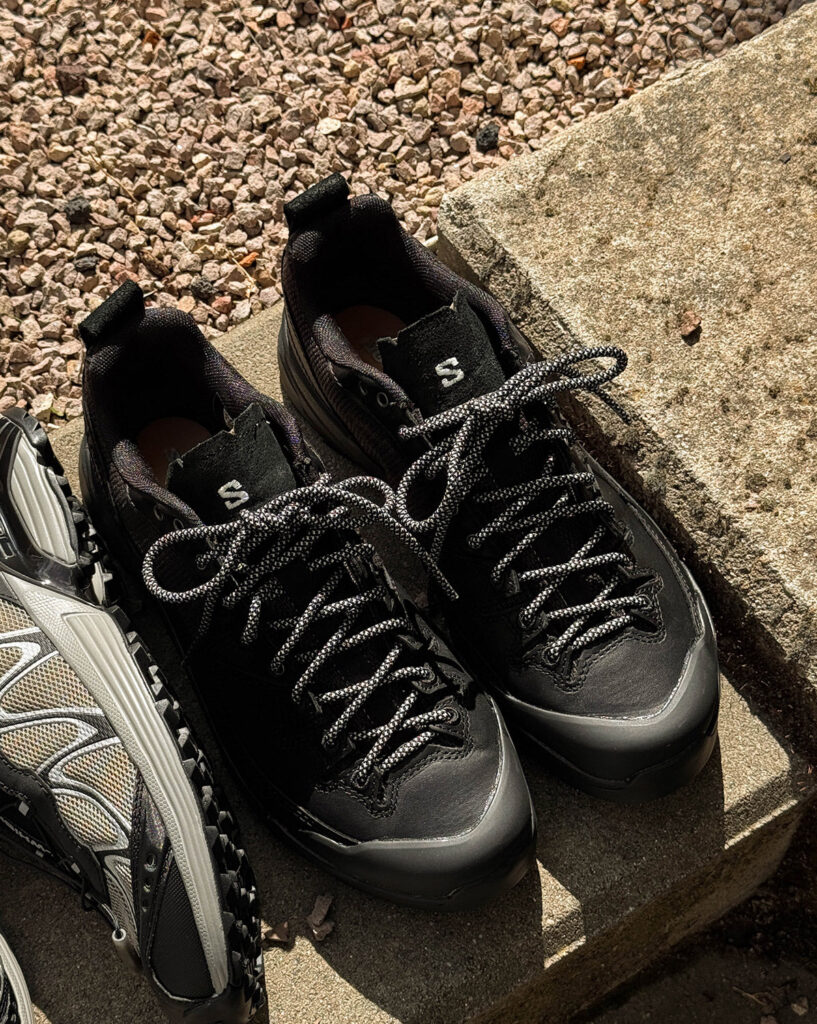 Кроссовки Salomon X-Alp Alpine Echoes