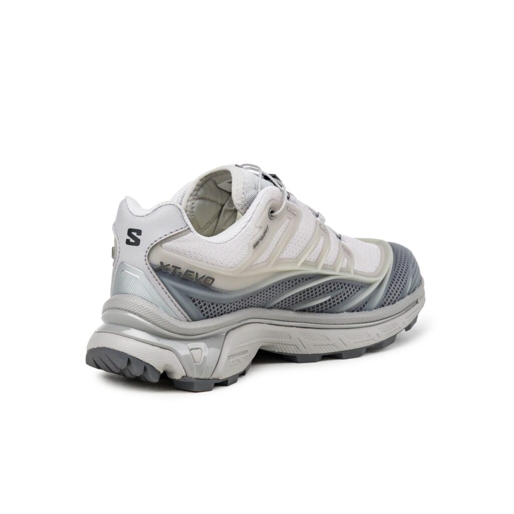 Кроссовки Salomon XT-Evo
