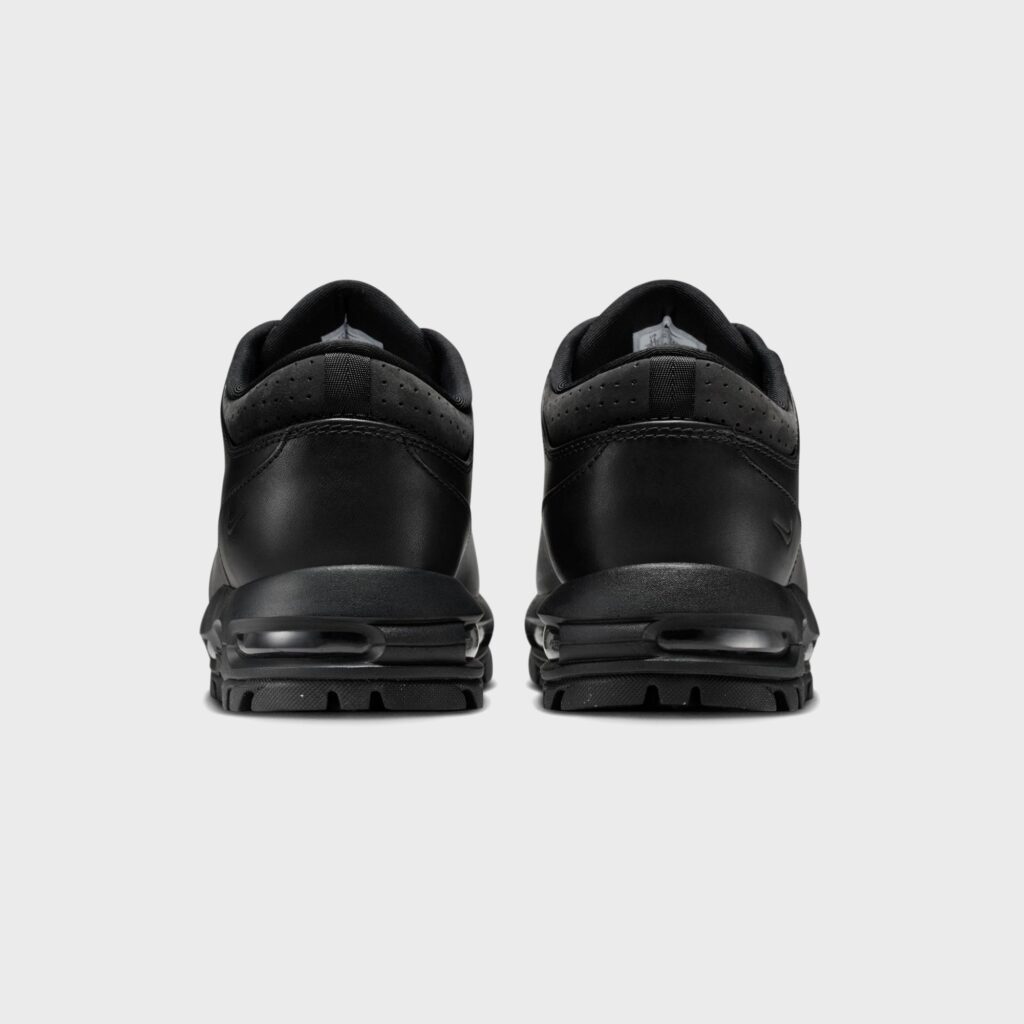 Кроссовки Nike Air Max Goadome Low - Black