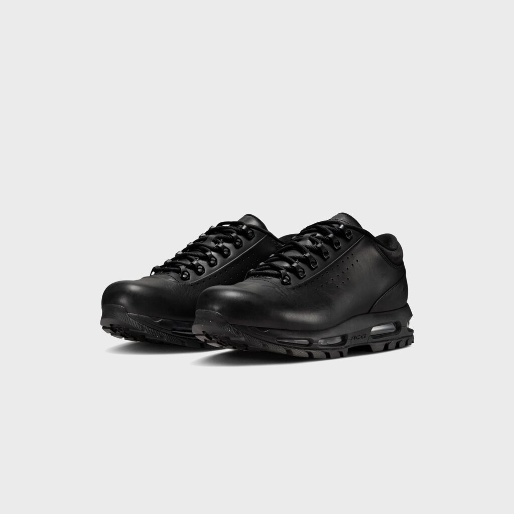 Кроссовки Nike Air Max Goadome Low - Black
