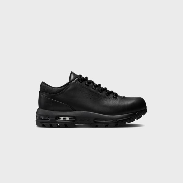 Кроссовки Nike Air Max Goadome Low - Black