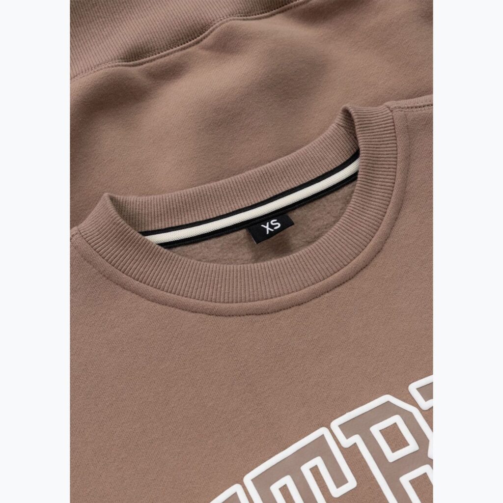 Толстовка женская Pitbull Crewneck Fiora chocolate mousse