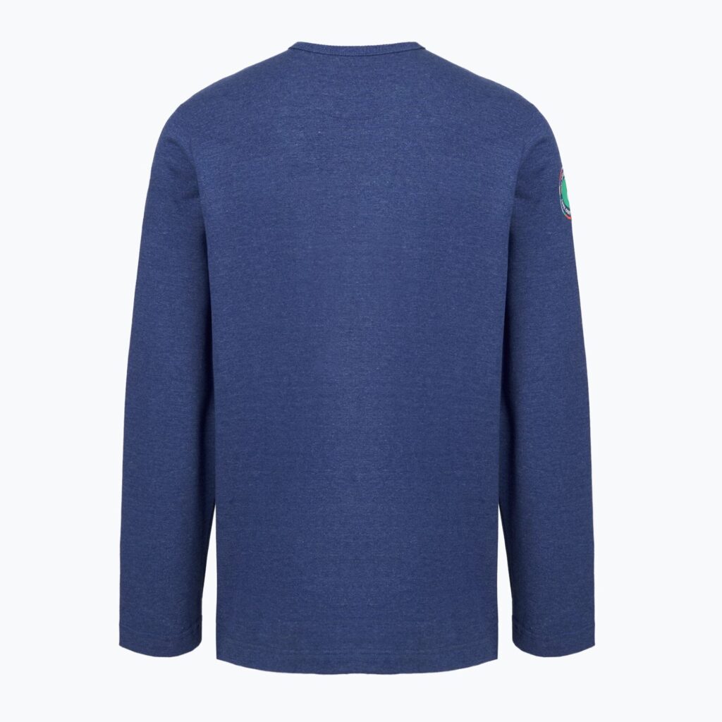Толстовка мужская Patagonia Lightweight Unity Fitz Wildrise Crew clement blue