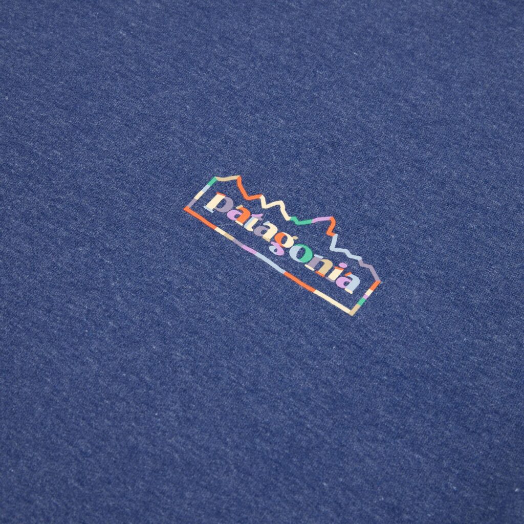 Толстовка мужская Patagonia Lightweight Unity Fitz Wildrise Crew clement blue