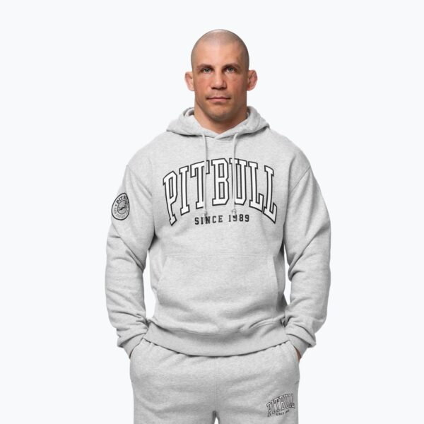 Толстовка мужская Pitbull Badger Hooded grey/melange