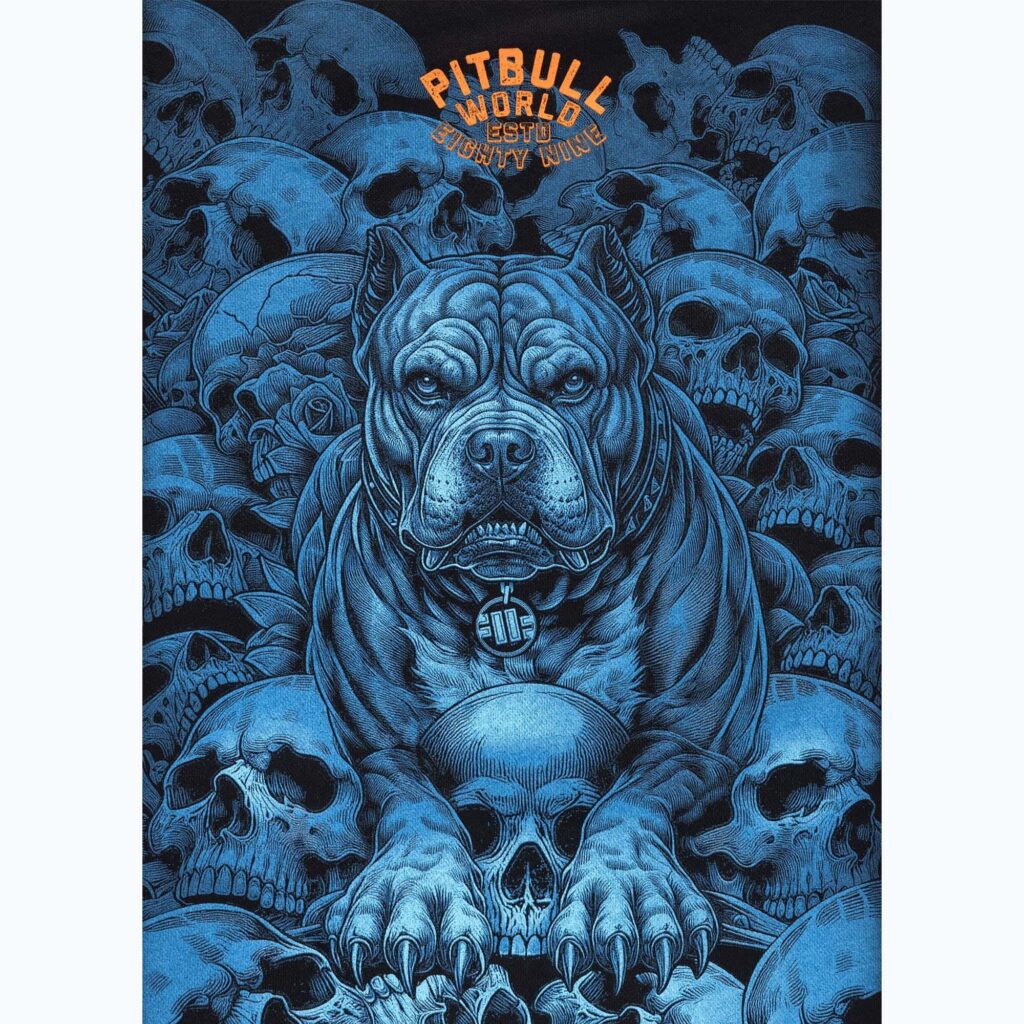 Толстовка мужская Pitbull Crewneck Guardian Angel black