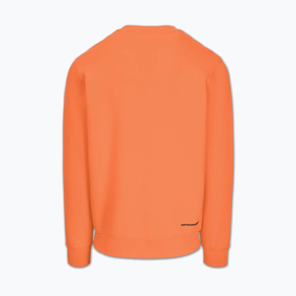 Толстовка мужская Pitbull Dogwood Crewneck fluo orange
