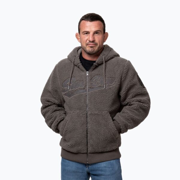 Толстовка мужская Pitbull Galaxy Hooded Zip taupe
