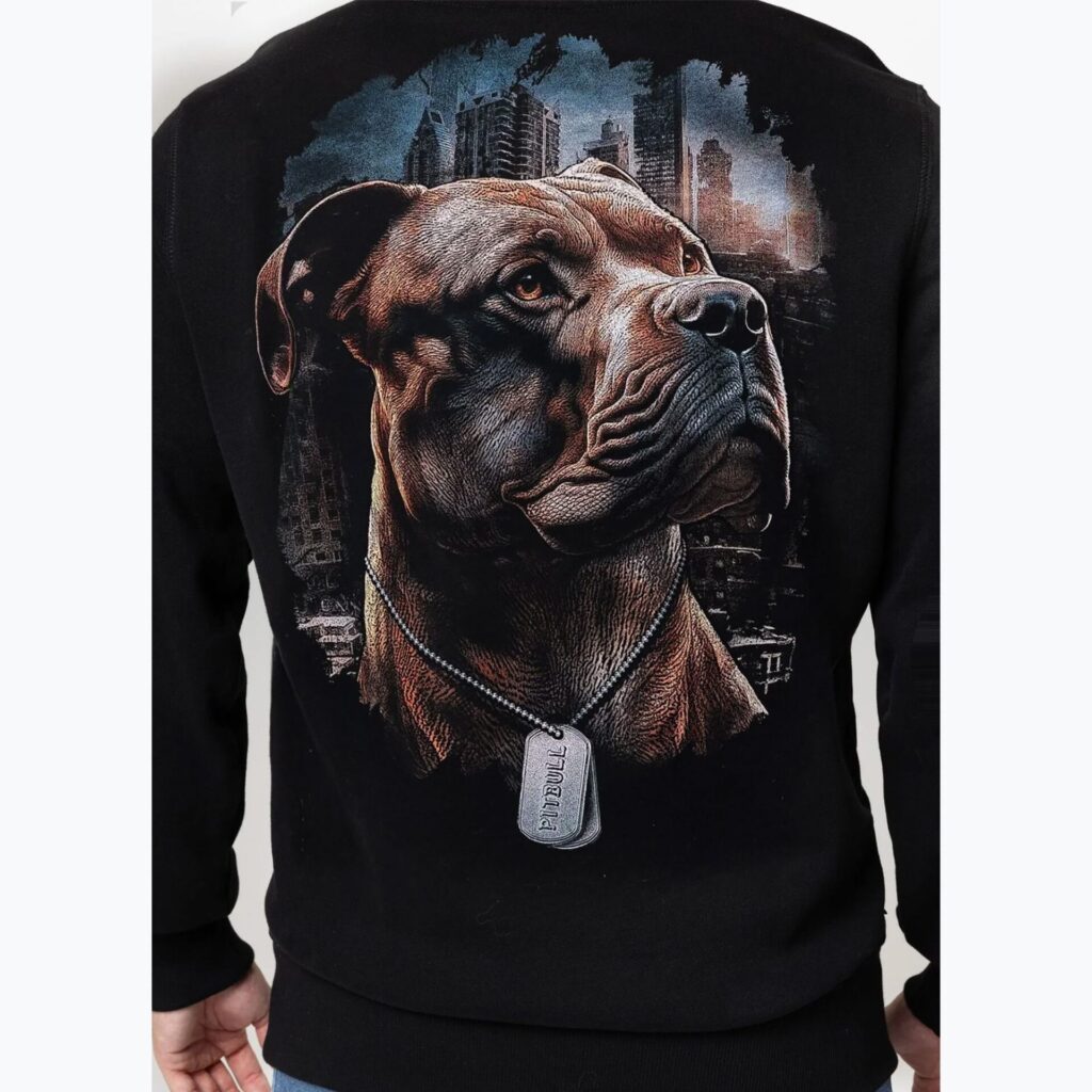Толстовка мужская Pitbull Hero Hooded black