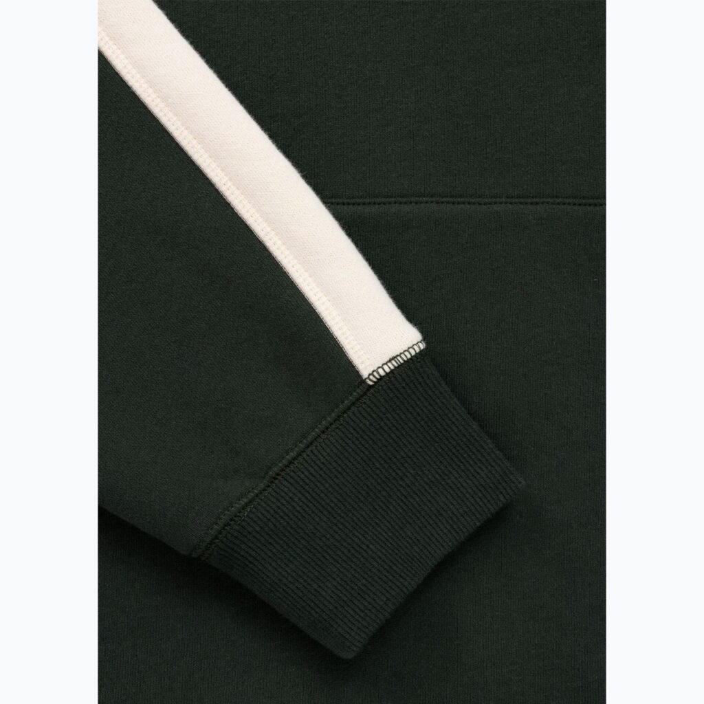 Толстовка мужская Pitbull San Diego Ca Hooded dark green