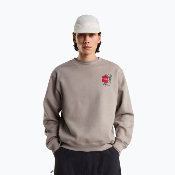 Толстовка The North Face Gear Up Get Out RLX SS Graphic stone slab