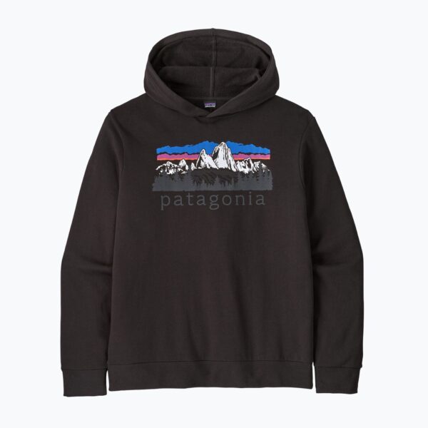 Толстовка мужская Patagonia Fitz Roy Foothills Daily Hoody black