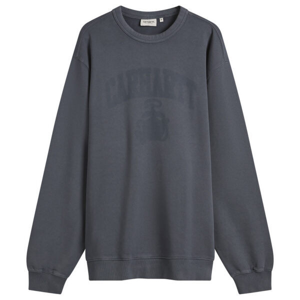 Свитшот Carhartt WIP Faded Pond Corps