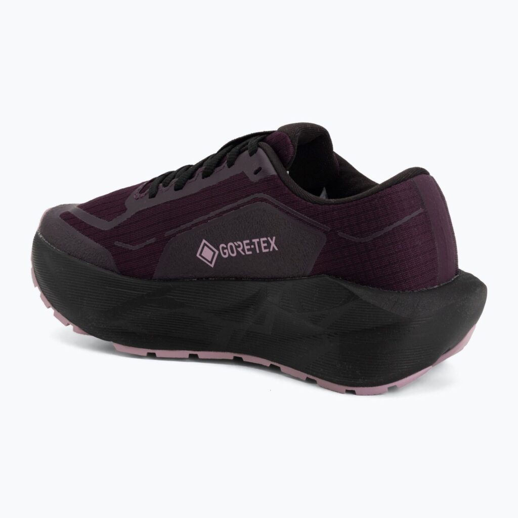 Кроссовки для бега женские ASICS Novablast 6 GTX dark aubergine/black