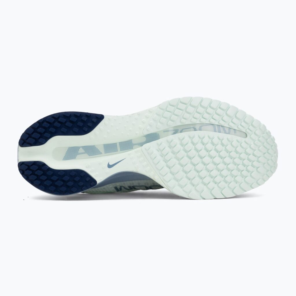 Женские кроссовки для бега Nike Pegasus Premium barely green/work blue/blue void