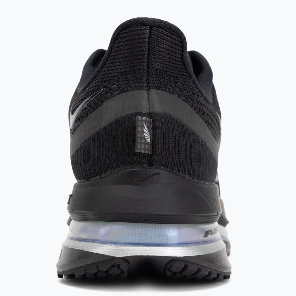 Женские кроссовки для бега Nike Pegasus Premium black/metallic silver/black