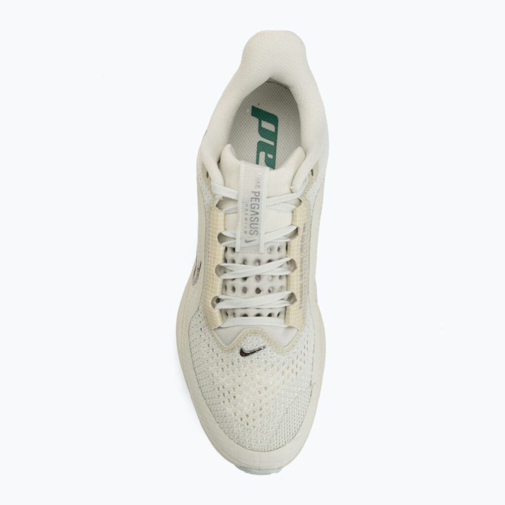 Женские кроссовки для бега Nike Pegasus Premium sea glass/malachite/metallic silver