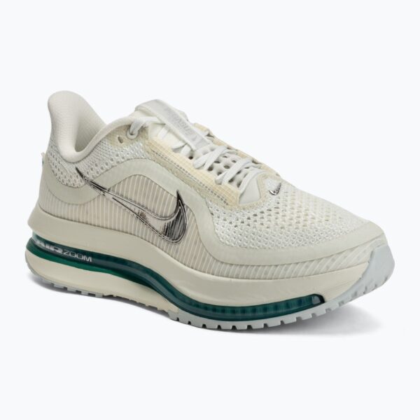 Женские кроссовки для бега Nike Pegasus Premium sea glass/malachite/metallic silver