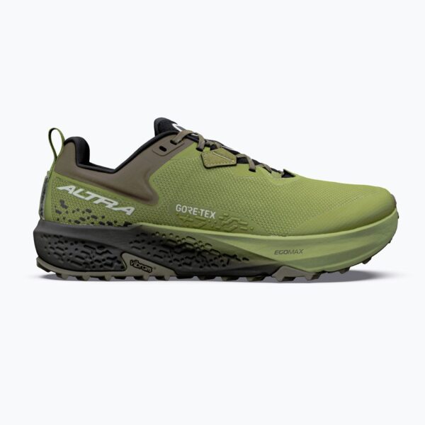 Кроссовки для бега мужские Timp 6 GTX Iguana/Silver