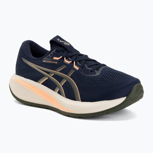 Кроссовки для бега мужскиеASICS Gel-Cumulus 28 midnight/khaki green
