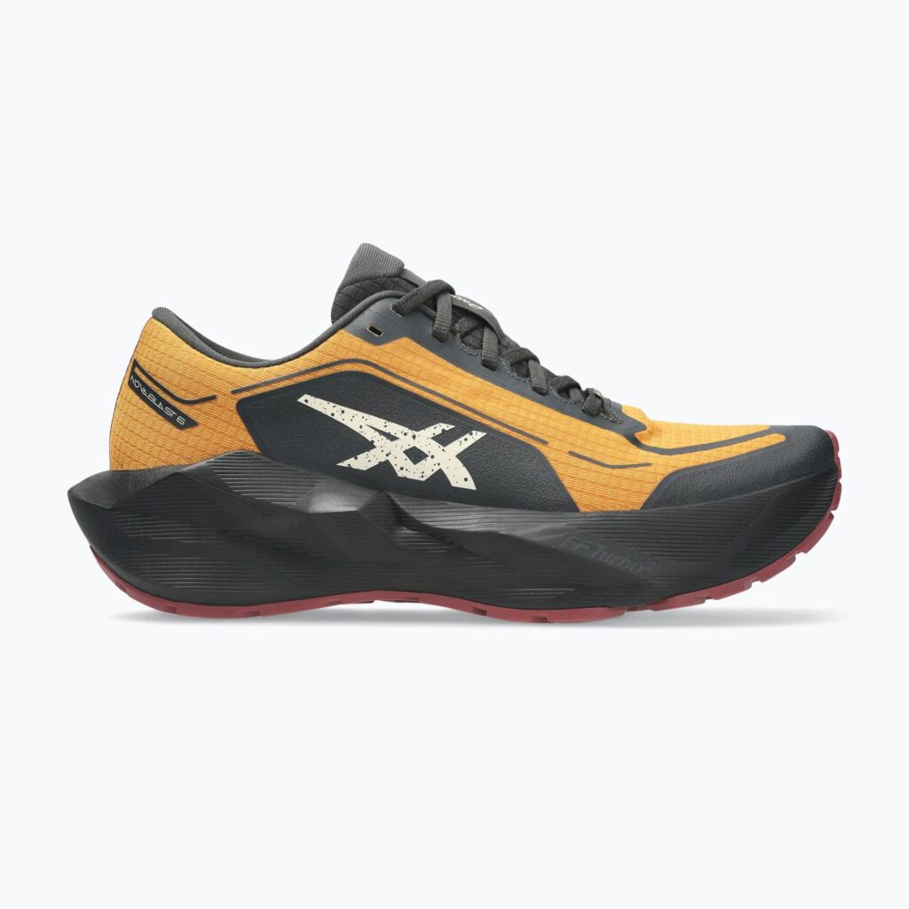Кроссовки для бега мужскиеASICS Novablast 6 GTX sandstorm/black