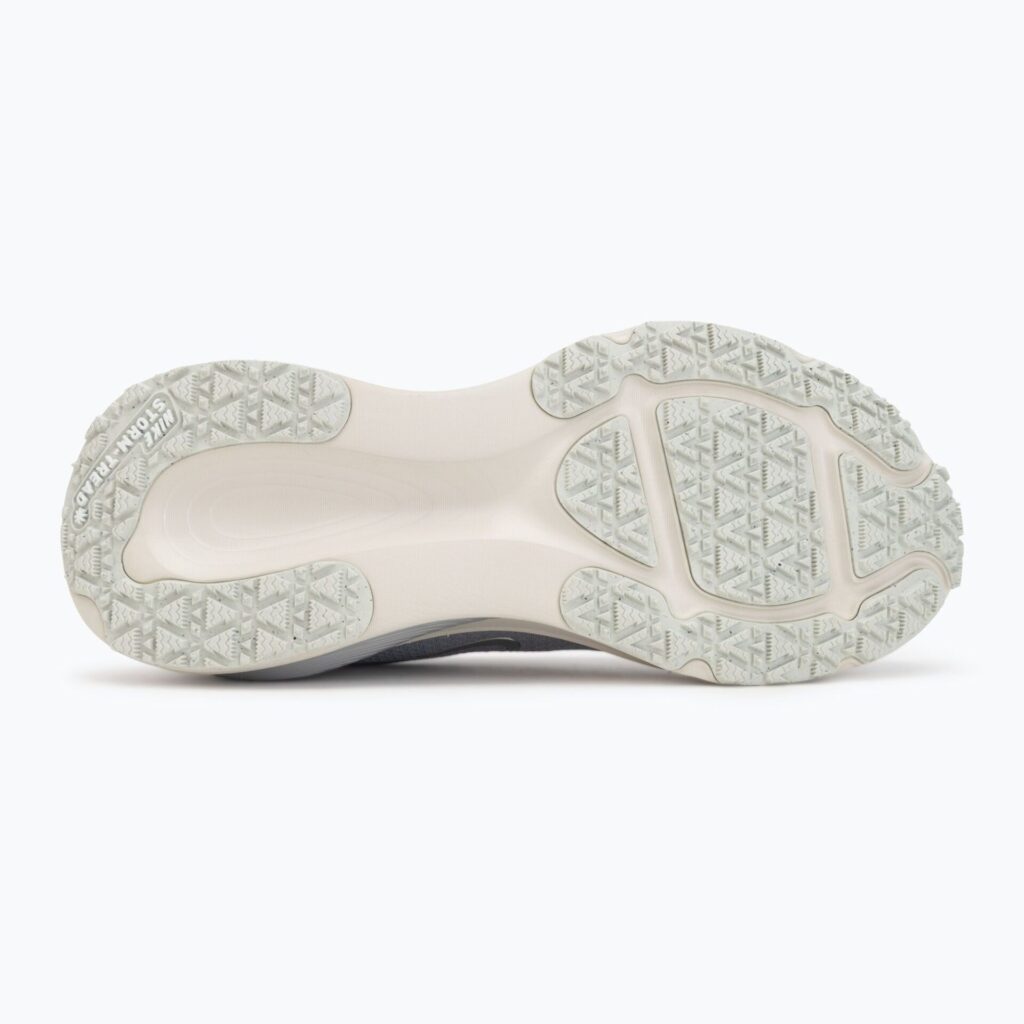 Кроссовки для бега Nike Vomero 18 GORE-TEX pure platinum/metallic silver